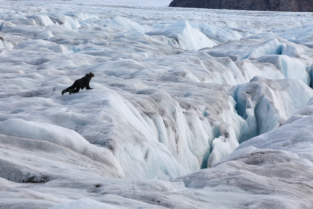 Photograph of Matt Clark on the glacier